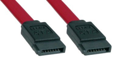 Cavo Serial ATA- 0.50m