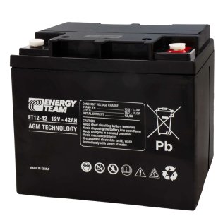 Batteria 12V 42Ah Ricaricabile al Piombo AGM VRLA Energyteam ET12-42