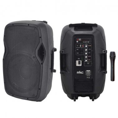 Cassa Amplificata Portatile con Microfono Wireless, MP3, Radio FM, USB, Slot SD e Bluetooth