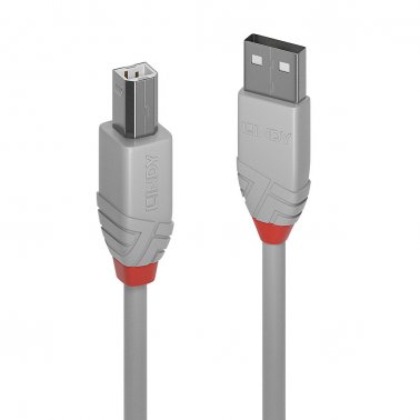 Cavo USB 2.0 Tipo A/B da 2 metri Lindy 36683