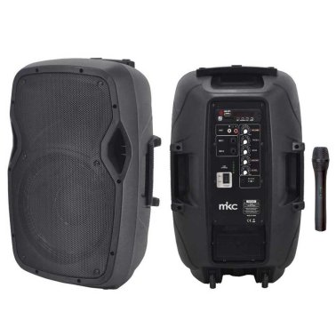 Cassa Amplificata Portatile con Microfono Wireless, MP3, Radio FM, USB, Slot SD e Bluetooth