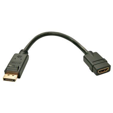 Lindy 41005 Adattatore Passivo DisplayPort a HDMI