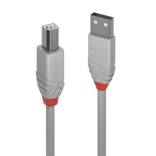 Cavo USB 2.0 Tipo A/B da 2 metri Lindy 36683