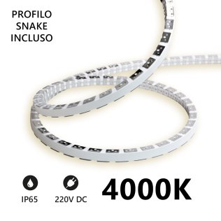 Striscia LED Flessibile Snake Flex 5m IP65 230V 4000K