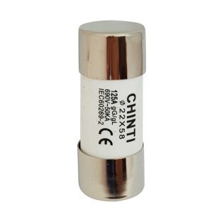 Fusibile cilindrico 100A 100kA Tipo gG 22x58 - Chint 80640C