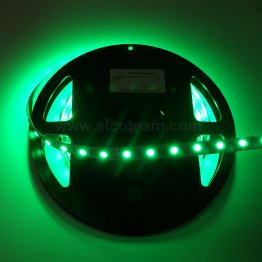 Striscia LED 5 Metri Colore Verde 12VDC 14,4W/m IP33