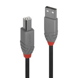 Lindy 1 meter USB 2.0 Type A / B cable 36672