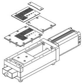 Piergiacomi MMP15 schema