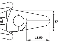 CS30